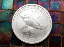 great white shark coin