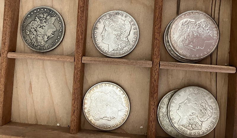 coin board morgans sorting